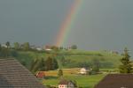 Regenbogen