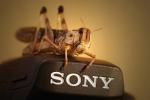 Sony