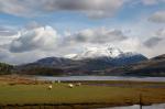 Schottland - Glenfinnan