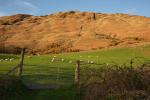 Schottland - Glenfinnan