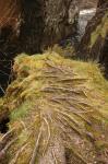 Schottland - Glen Nevis und Loch Leven