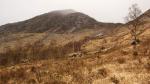 Schottland - Glen Nevis und Loch Leven