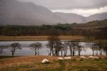 Schottland - Tour um unser Zuhause