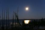 Lake Yellowstone