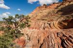 Vermillion Cliffs 12