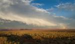 Vermillion Cliffs 20