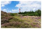 Leuchtturm Amrum