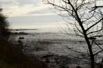 Bornholm19