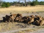 Botswana-Okawango