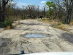 Botswana-Okawango