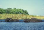 Botswana-Okawango