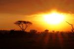 Serengeti Sunset