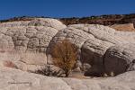 Vermillion Cliffs 16