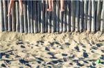 Sommer