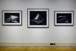 Bilder einer Ausstellung (Gewinner SWPA 2013 Kategorie Landschaft)