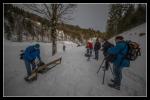 Fototour Nonnenmattweiher 1