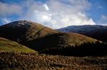 Irland Winter