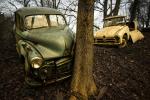 Neandertal - Oldtimer Skulpturenpark