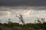 Wetter wird komisch