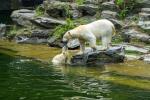 Tierpark Berlin