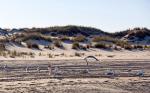 Donana Strand, Andalusien, Spanien