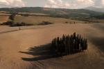 Val d’Orcia - Cipressi di San Quirico d'Orcia