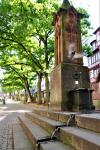 Mönchsbrunnen Marburg mit Taube