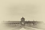 Schienen in den Tod