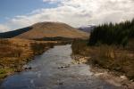 Orchy