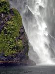 Fjordland NP NZ