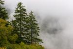 Smoky Mountains 6