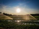 Wasser für's Feld