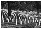 Arlington Friedhof