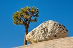 Yosemite NP - Olmstedt Point 1