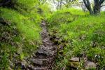 Hartmannswillerkopf Himmelsleiter