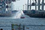 Elbe_putzen