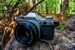 Canon im Wald