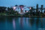 Gardens by the Bay at Night