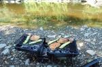 Picknick