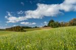 Oktobersommer im Heckengäu