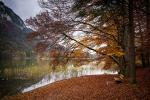 Herbst am See