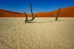 Dead Vlei