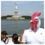 Gockel in New York