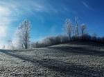 Winterlandschaft