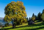 Herbst in den Bergen