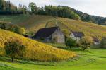 Herbst im Glottertal