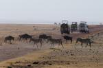 Ngorongoro-Krater II