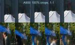 100%Crops, Alpha900, 24MP