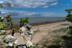 Frühling am Strand