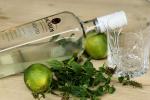 Barcadi Mojito